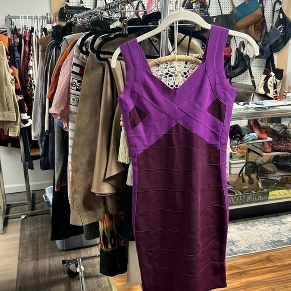 Express size, small, purple body, hugging dress